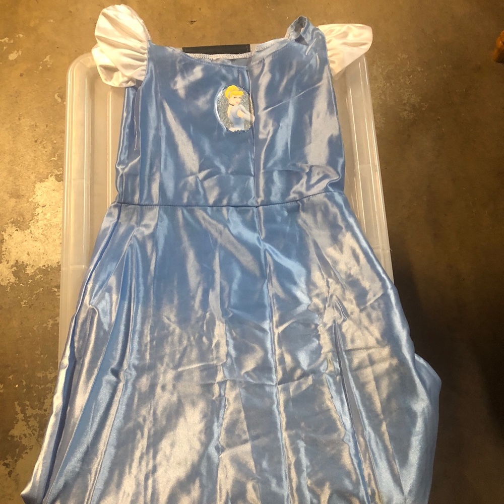 Cinderella Costume